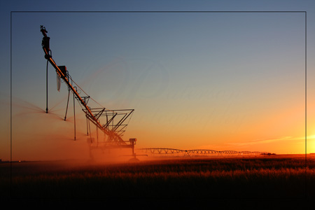 Irrigation at sunset