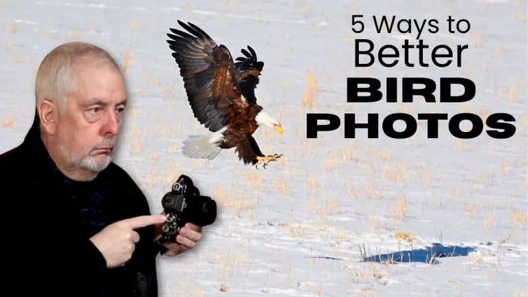 5 ways to better bird photos shows Mike Paterson with a camera and a Bald Eagle swooping in for lunch