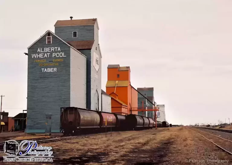 Taber Alberta grain elevator row with the Alberta Wheat Pool elevators