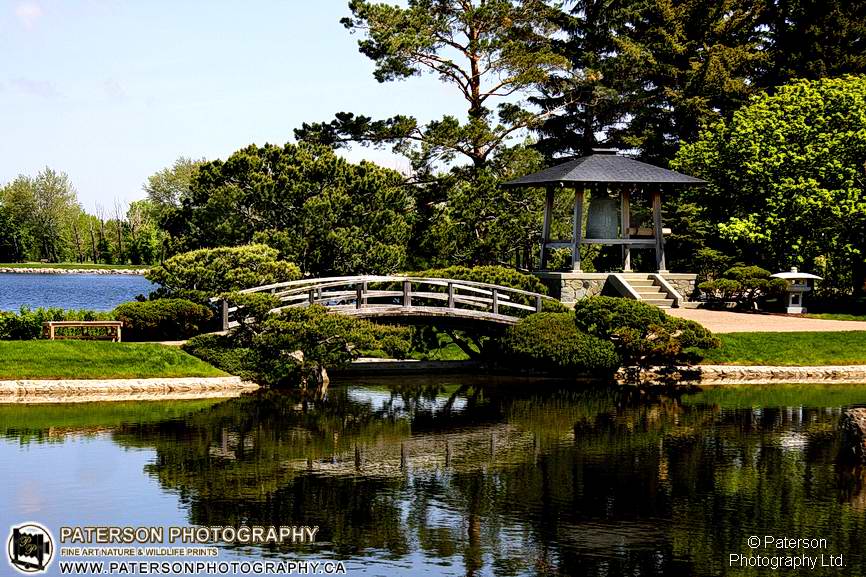 Japanese Garden Lethbridge