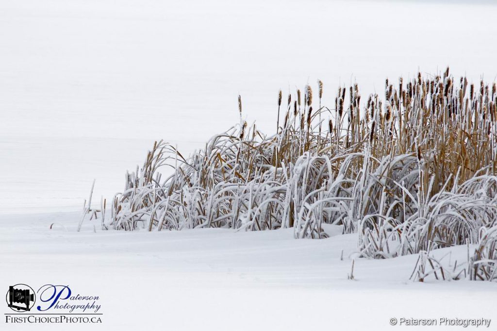 Cold eweather shooting
