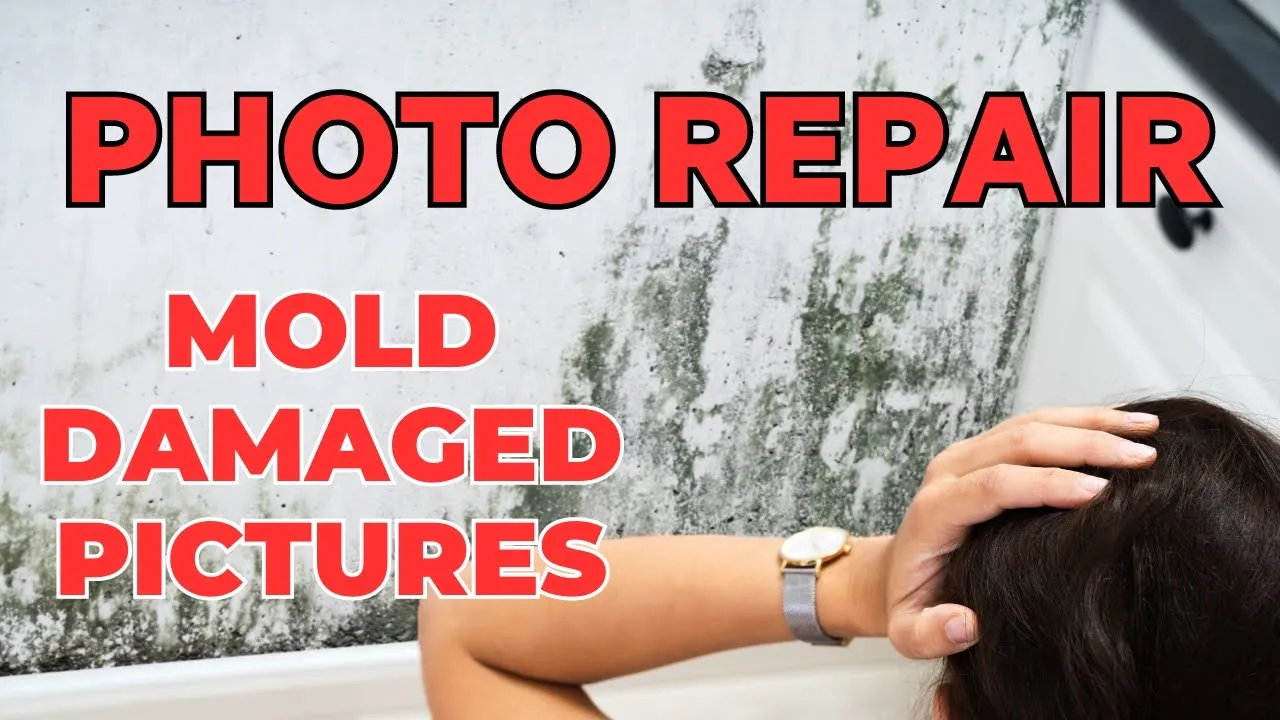 Repair Mold Damaged Photos