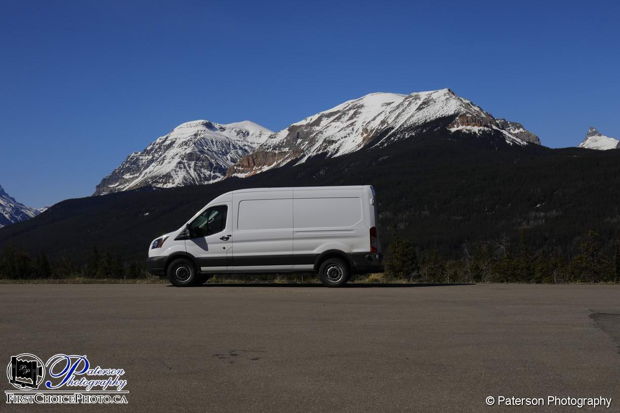 My Van White Turtle III