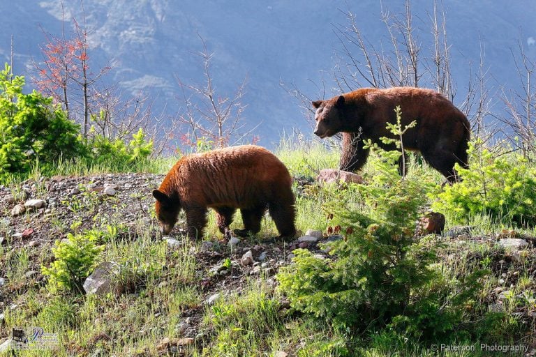 Summer print special