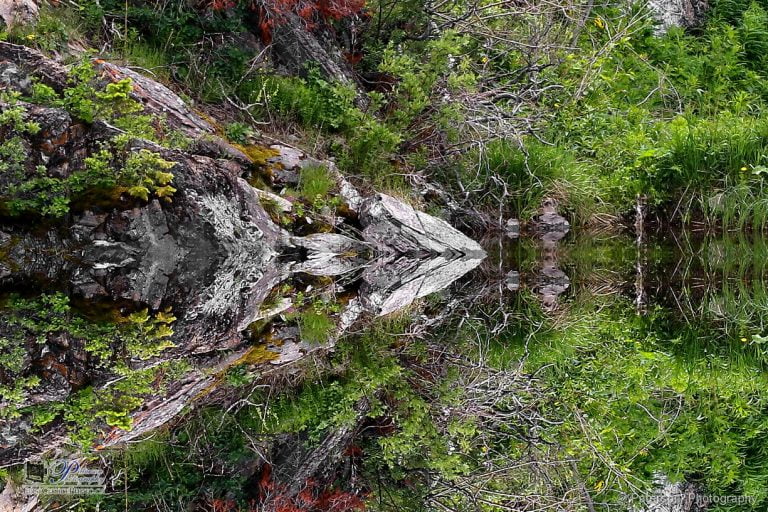 Beaver pond, Red Rock, wall art, Lethbridge wall decor, Lethbridge art gallery, Nature prints, waterton park nature prints, Waterton art gallery, photography courses, workshops, online teaching, mentoring