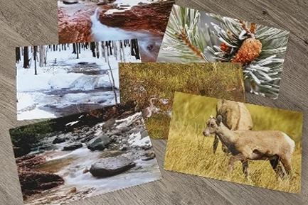 4x6 photos Printed in Lethbridge at photo lab
