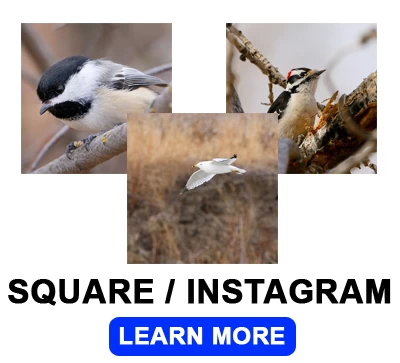Square Instagram photos from Lethbridge's best photo lab